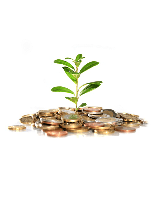 نرم افزار بازاریاب آنلاین 9 درآمد ویزیتور آنلاین پایا